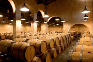 Экскурсия в центр энотуризма la winery