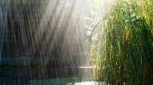 Погода и температура воды во вьетнаме в июне - отдых в нячанге, фантьете (сезон 2016)